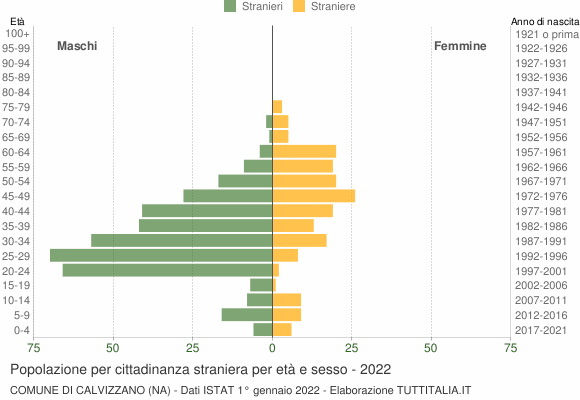 Grafico cittadini stranieri - Calvizzano 2022