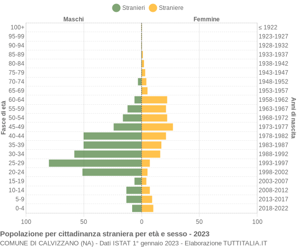 Grafico cittadini stranieri - Calvizzano 2023