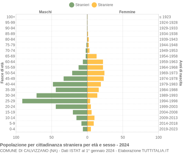 Grafico cittadini stranieri - Calvizzano 2024