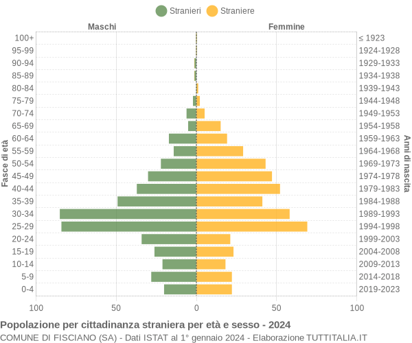 Grafico cittadini stranieri - Fisciano 2024