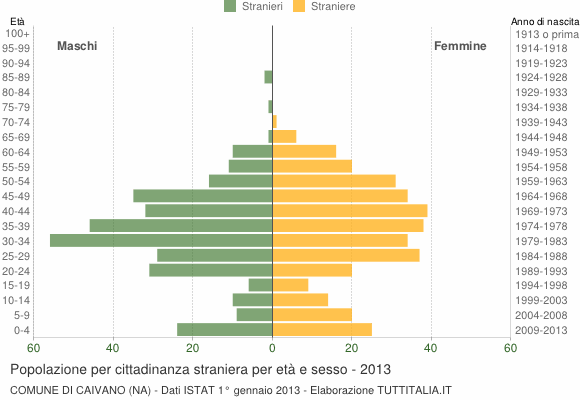 Grafico cittadini stranieri - Caivano 2013