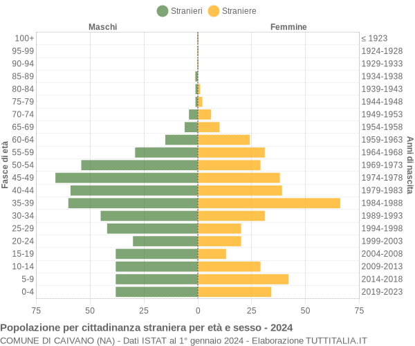 Grafico cittadini stranieri - Caivano 2024