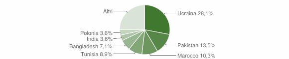 Grafico cittadinanza stranieri - Grumo Nevano 2010