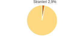 Percentuale cittadini stranieri Comune di Savignano Irpino (AV)