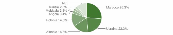 Grafico cittadinanza stranieri - Succivo 2010