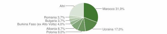 Grafico cittadinanza stranieri - Succivo 2015
