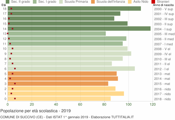 Grafico Popolazione in età scolastica - Succivo 2019