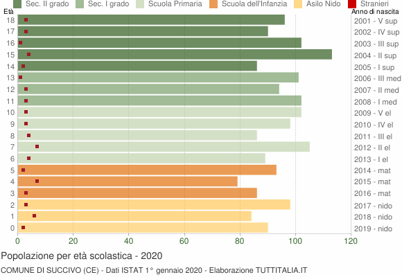 Grafico Popolazione in età scolastica - Succivo 2020