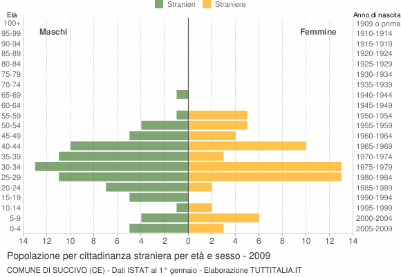 Grafico cittadini stranieri - Succivo 2009