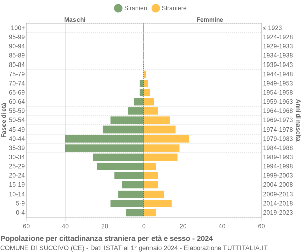 Grafico cittadini stranieri - Succivo 2024