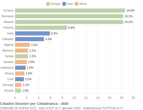 Grafico cittadinanza stranieri - Capua 2020