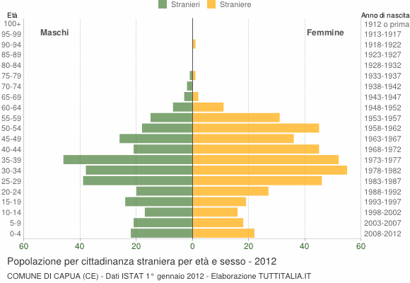 Grafico cittadini stranieri - Capua 2012