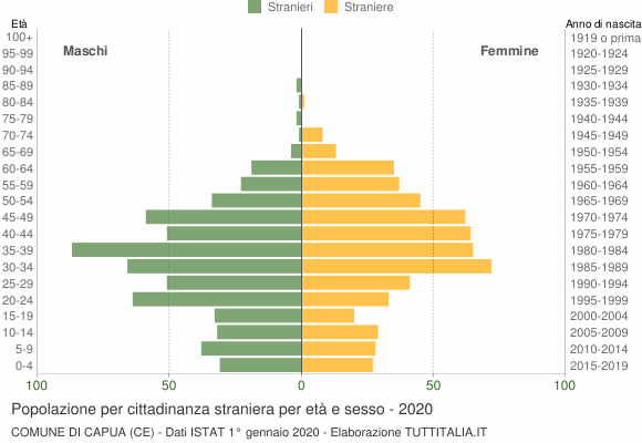 Grafico cittadini stranieri - Capua 2020