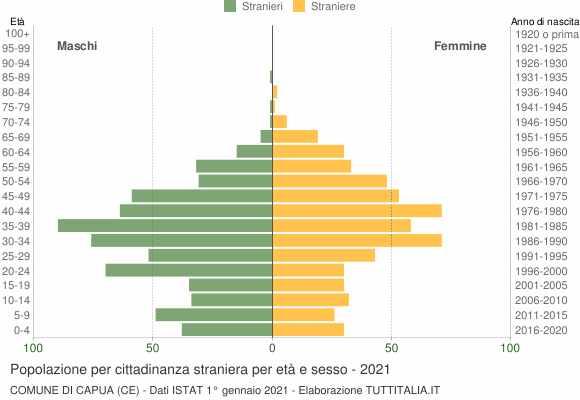 Grafico cittadini stranieri - Capua 2021