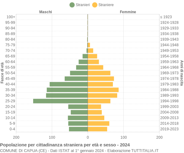 Grafico cittadini stranieri - Capua 2024