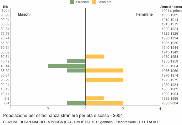 Grafico cittadini stranieri - San Mauro la Bruca 2004