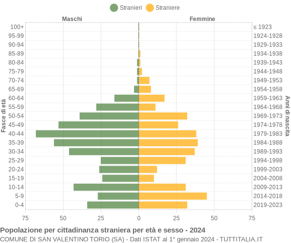 Grafico cittadini stranieri - San Valentino Torio 2024