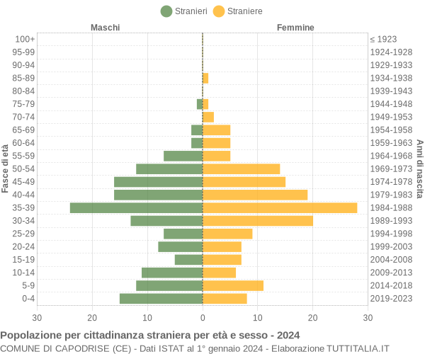 Grafico cittadini stranieri - Capodrise 2024