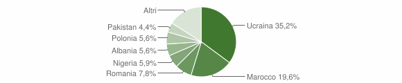 Grafico cittadinanza stranieri - Carinaro 2011