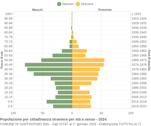 Grafico cittadini stranieri - Sant'Antimo 2024