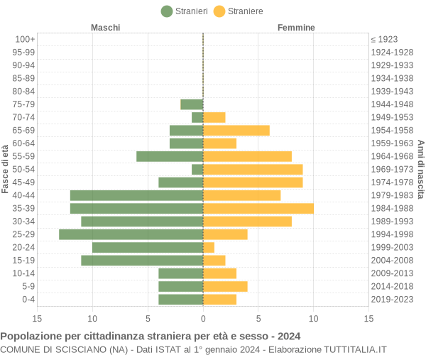 Grafico cittadini stranieri - Scisciano 2024