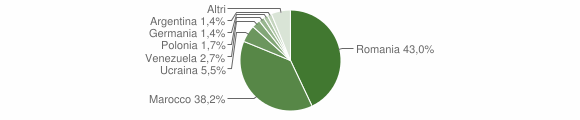 Grafico cittadinanza stranieri - Teggiano 2009