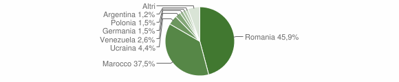 Grafico cittadinanza stranieri - Teggiano 2010