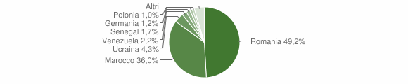 Grafico cittadinanza stranieri - Teggiano 2012