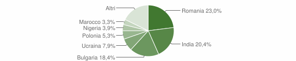 Grafico cittadinanza stranieri - Pietradefusi 2015