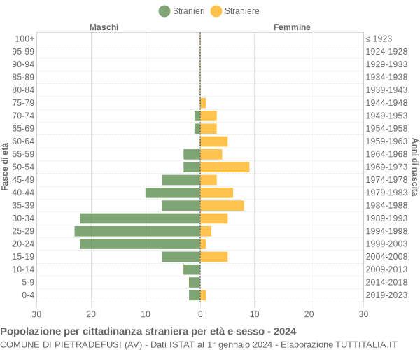 Grafico cittadini stranieri - Pietradefusi 2024