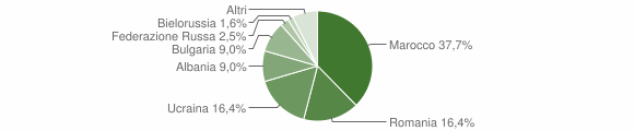 Grafico cittadinanza stranieri - Calitri 2011