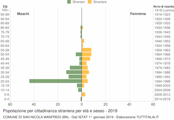 Grafico cittadini stranieri - San Nicola Manfredi 2019