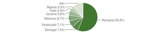 Grafico cittadinanza stranieri - Padula 2014