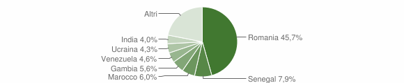 Grafico cittadinanza stranieri - Padula 2015
