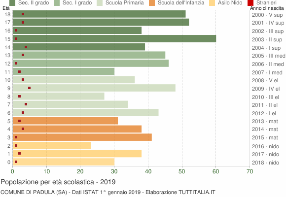 Grafico Popolazione in età scolastica - Padula 2019