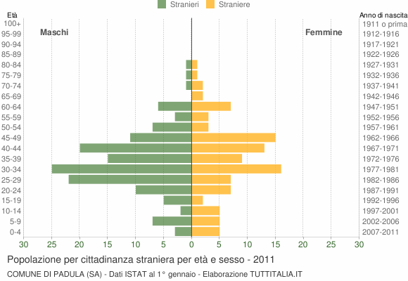 Grafico cittadini stranieri - Padula 2011