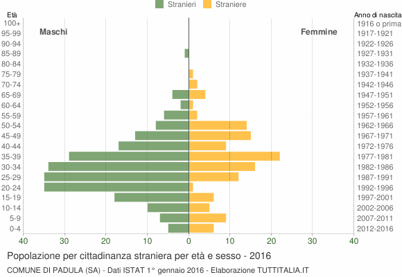 Grafico cittadini stranieri - Padula 2016