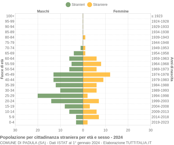 Grafico cittadini stranieri - Padula 2024