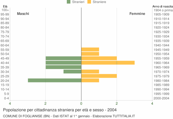 Grafico cittadini stranieri - Foglianise 2004