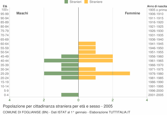 Grafico cittadini stranieri - Foglianise 2005