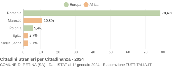 Grafico cittadinanza stranieri - Petina 2024