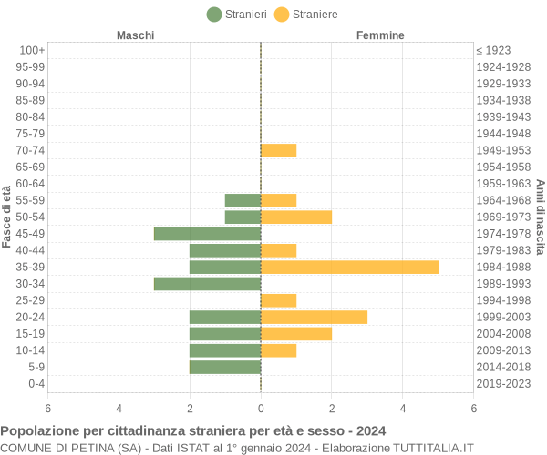 Grafico cittadini stranieri - Petina 2024