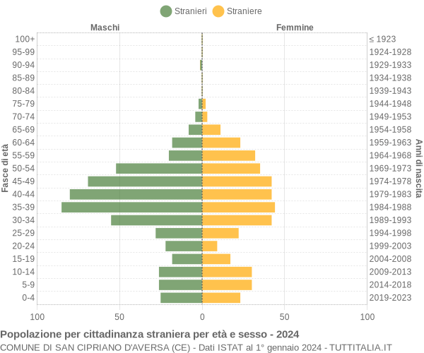 Grafico cittadini stranieri - San Cipriano d'Aversa 2024