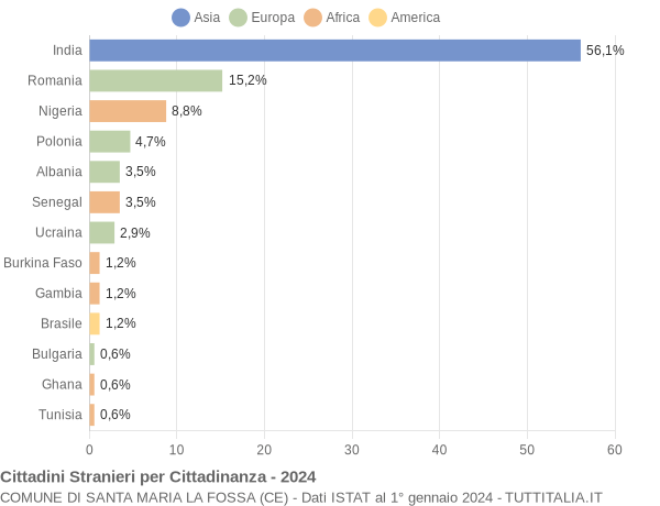 Grafico cittadinanza stranieri - Santa Maria la Fossa 2024