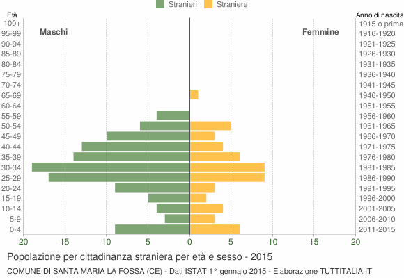 Grafico cittadini stranieri - Santa Maria la Fossa 2015