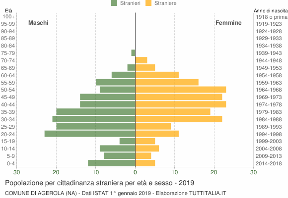 Grafico cittadini stranieri - Agerola 2019