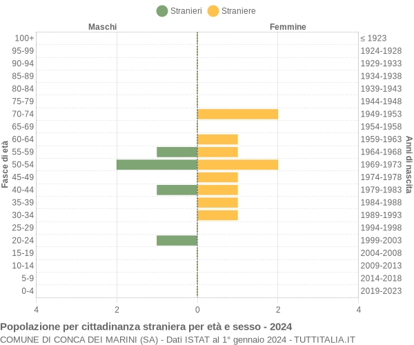 Grafico cittadini stranieri - Conca dei Marini 2024