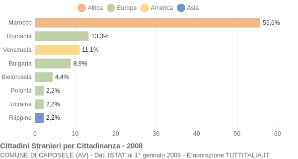 Grafico cittadinanza stranieri - Caposele 2008