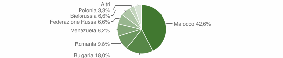 Grafico cittadinanza stranieri - Caposele 2013