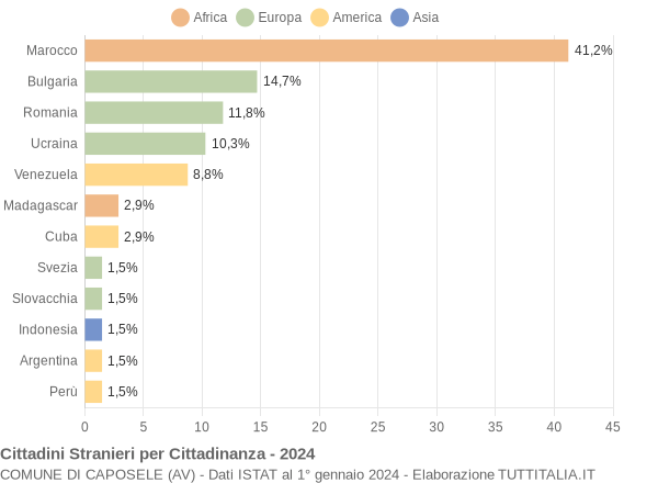 Grafico cittadinanza stranieri - Caposele 2024